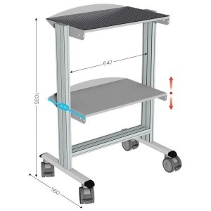 Servante industrielle sur roulettes | 2 niveaux 50 kg