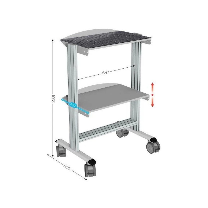 Servante industrielle sur roulettes | 2 niveaux 50 kg