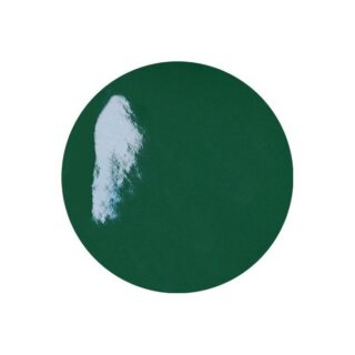 140135 - Lot de 54 pastilles adhésives STANDARD vert